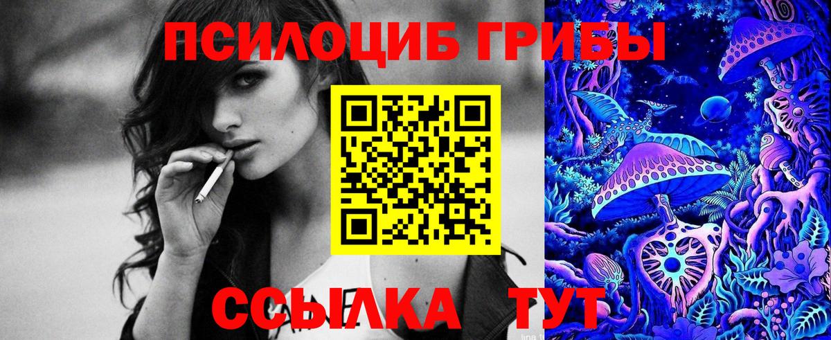 Галлюциногенные грибы Cubensis Ковров
