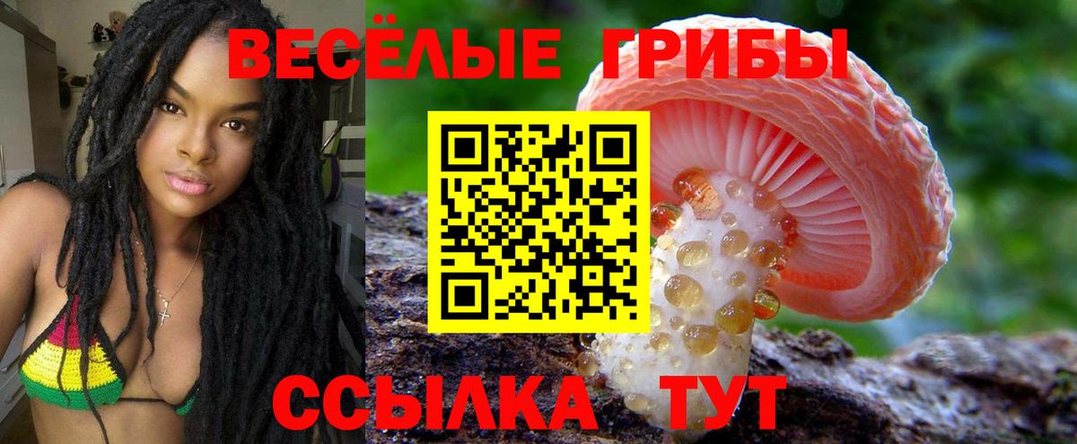 Псилоцибиновые грибы Magic Shrooms  где продают наркотики  Ковров  Вход с VPN 